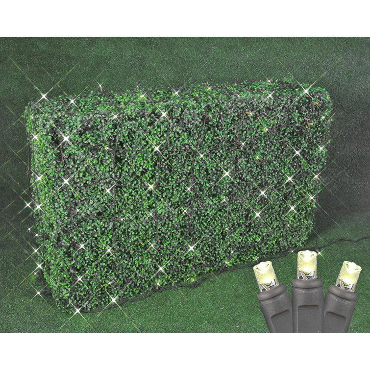 The Holiday Aisle® 100 Light Commercial Grade Christmas LED Net Light